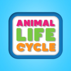 Animal Life Cycle