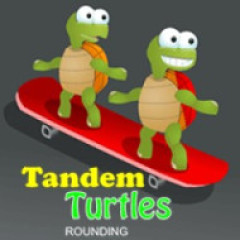 Turtles Rounding